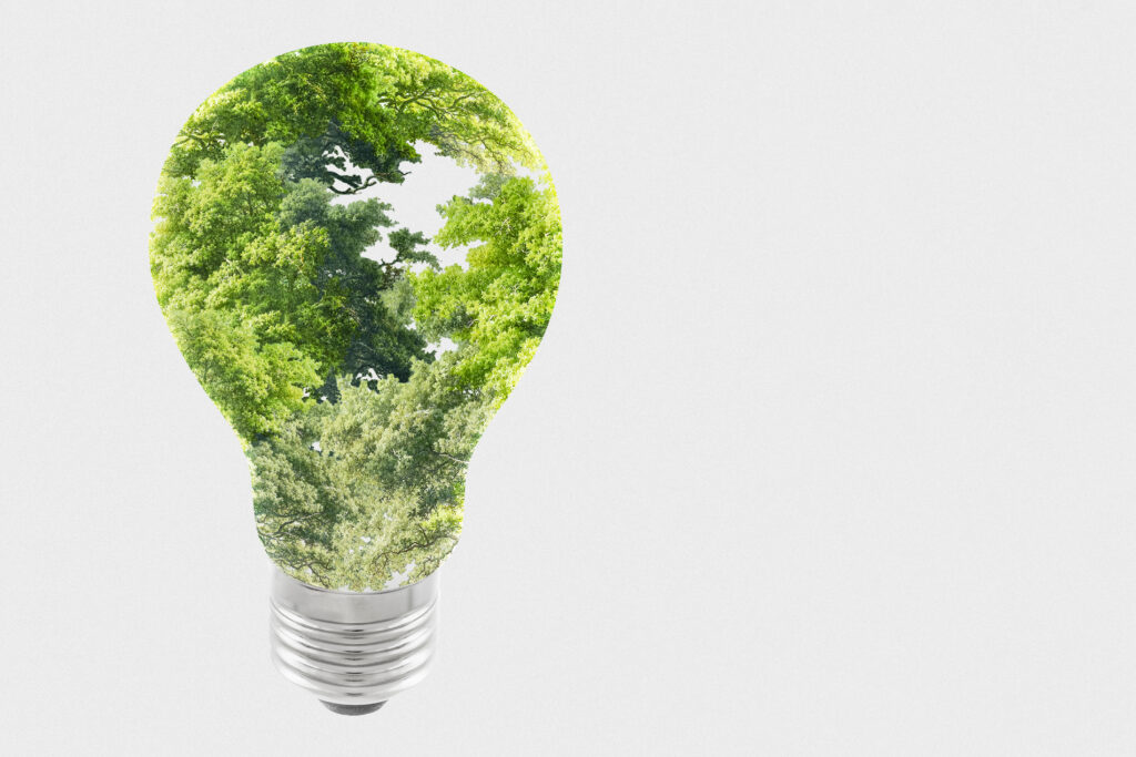 Nachhaltigkeit am Arbeitsplatz – was Du als Arbeitnehmer zum Klima- und Umweltschutz beitragen kannst